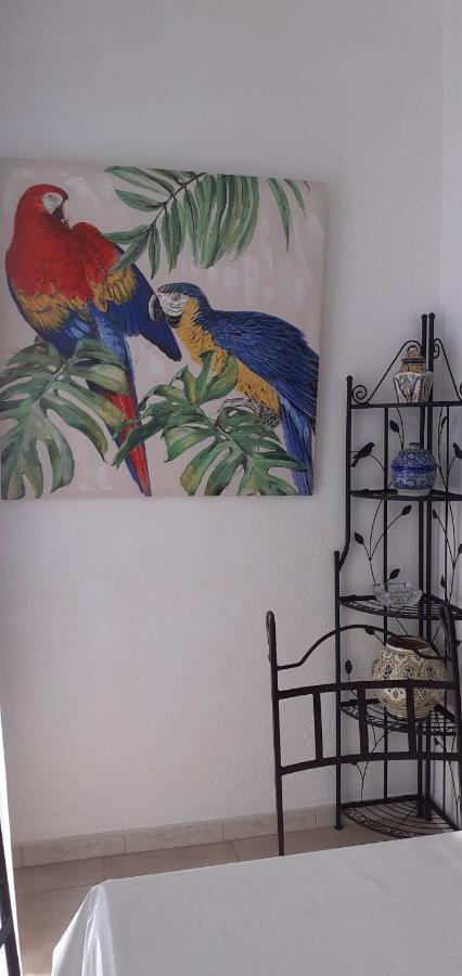 Studio Central Canet-en-Roussillon Bagian luar foto