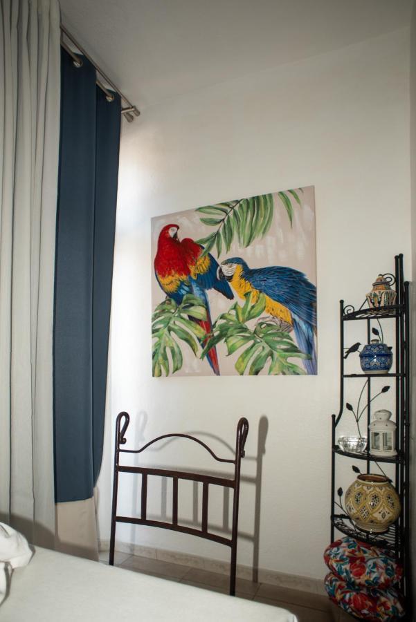 Studio Central Canet-en-Roussillon Bagian luar foto