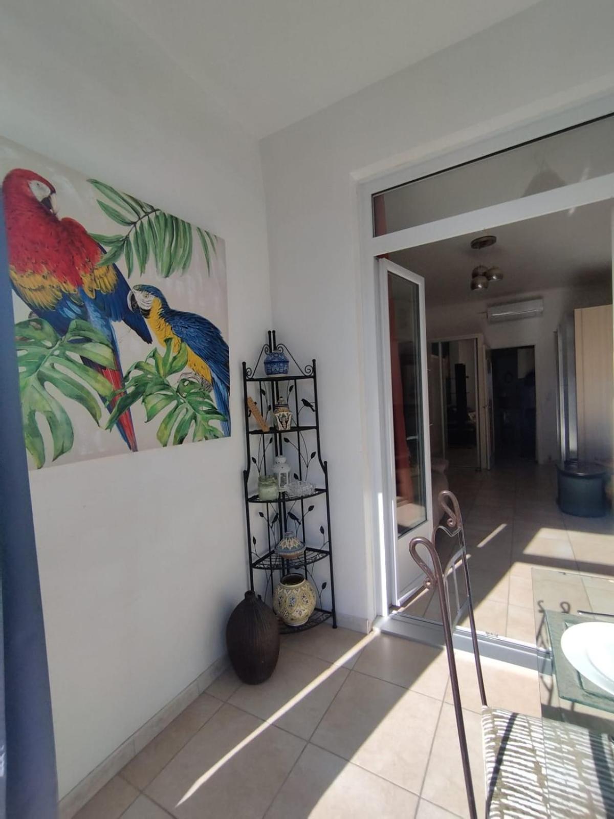 Studio Central Canet-en-Roussillon Bagian luar foto